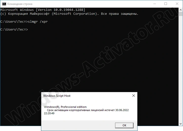 Информация об активации Windows 10 в командной строке